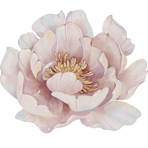 peonia que es